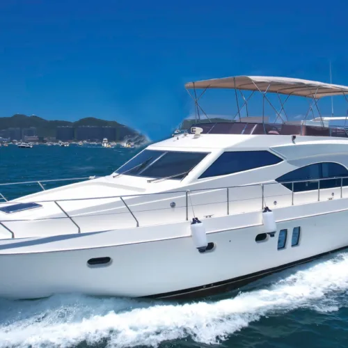 2013 Tian Yue 50