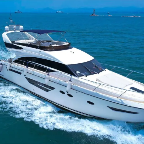 2015 Tian Yue 60