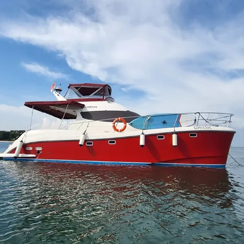 2008 Flash Cat 43