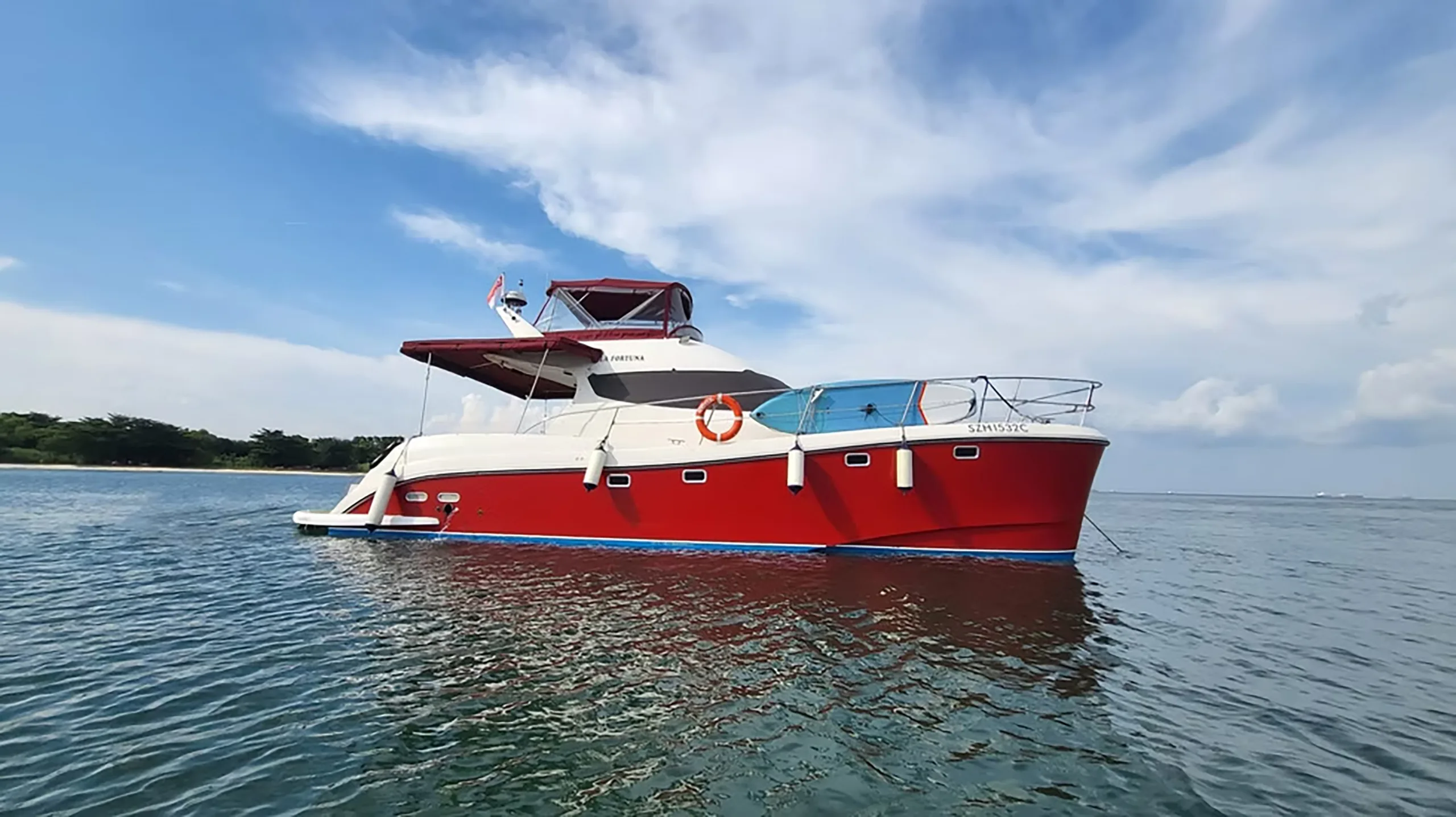 2008 Flash Cat 43